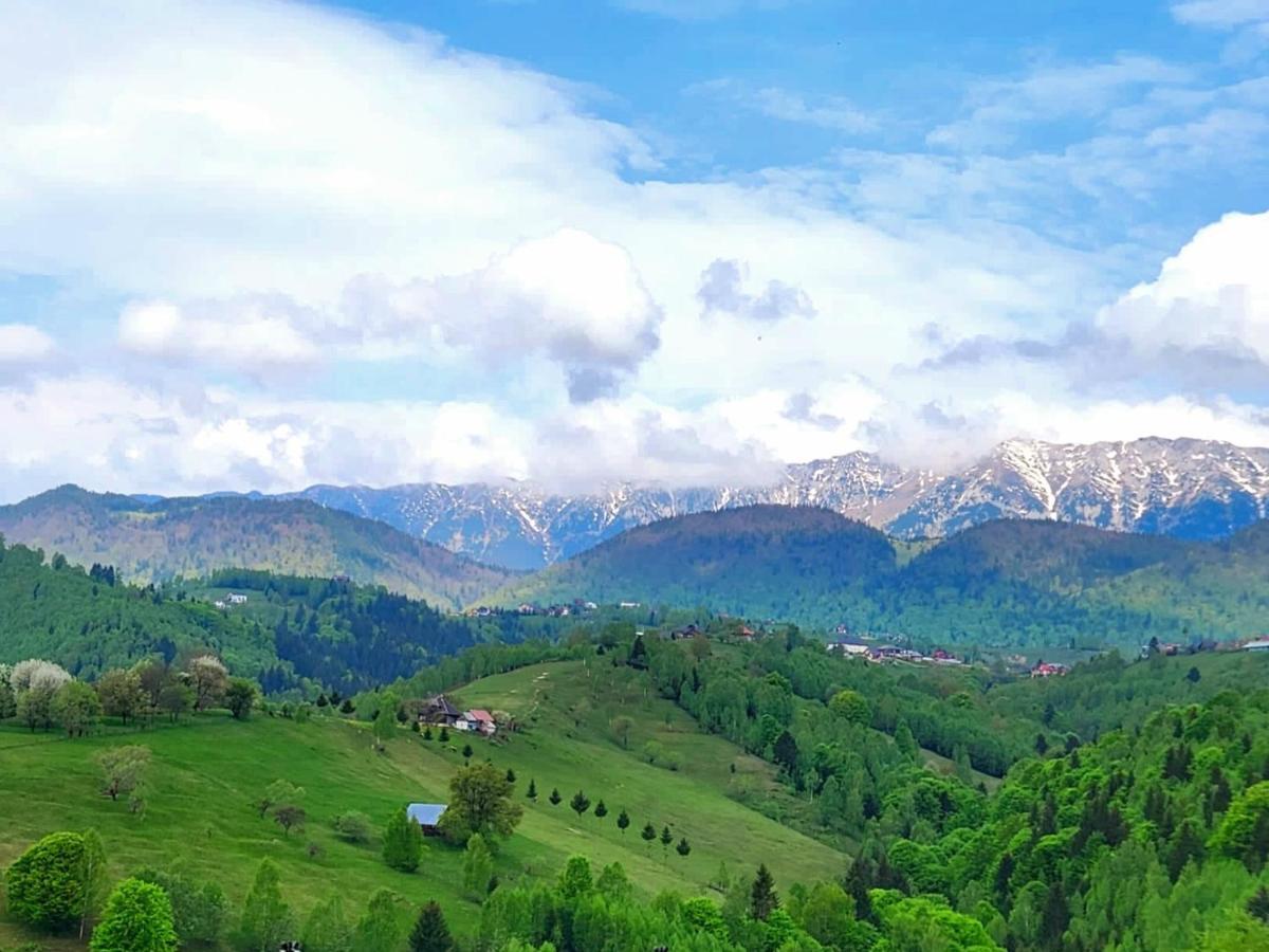 Carpathia Magic -Adults Only Villa Peştera Dış mekan fotoğraf