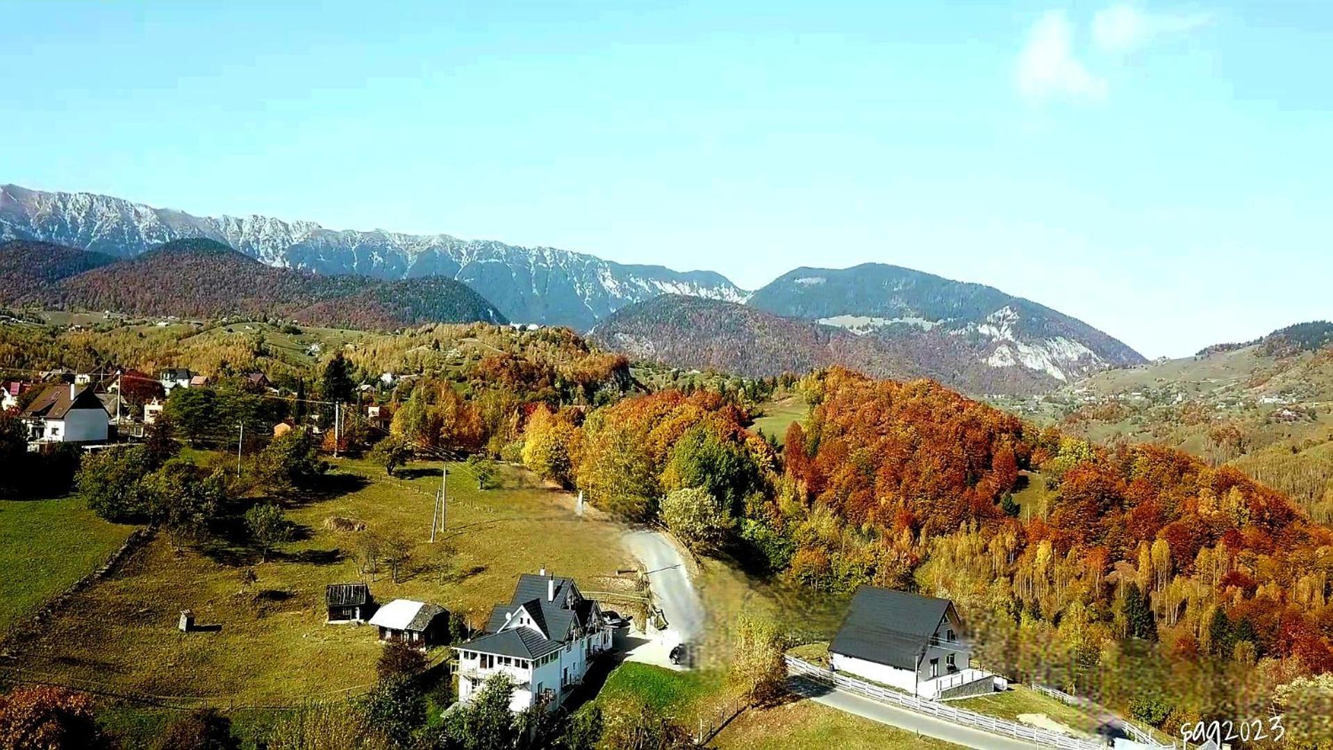 Carpathia Magic -Adults Only Villa Peştera Dış mekan fotoğraf