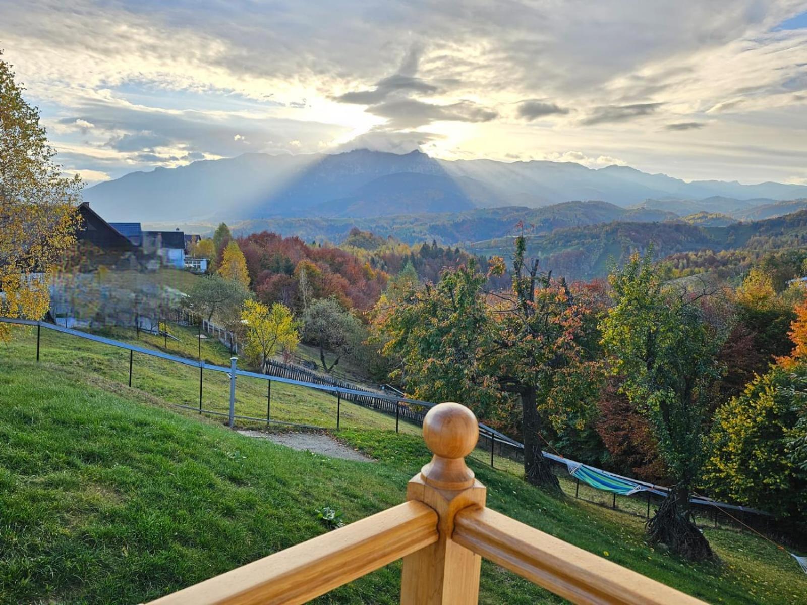 Carpathia Magic -Adults Only Villa Peştera Dış mekan fotoğraf